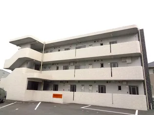 サウザンドサニーの画像