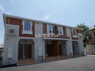 ノバグリーンの画像