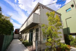 PASSERO JAVAの画像