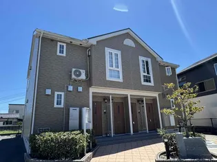 プラシードの画像