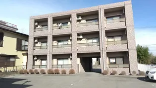 サンライズスターブルの画像