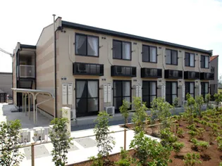 レオパレス大弥の画像