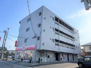 泉ハイツ【1階】の外観