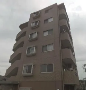 フォレスト愛子の画像