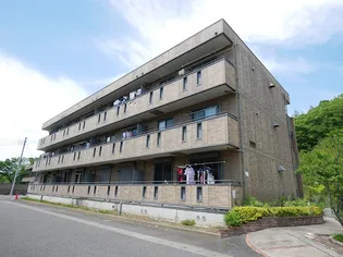 グレースヒルズII【3階】の外観