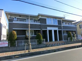 アムールCの画像