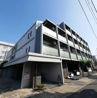 ステラフィッサの画像