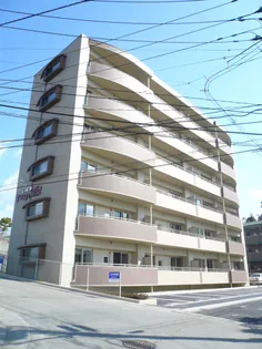 いずみTOWNHILLSの画像