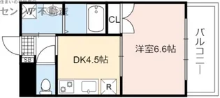 ヒットメゾン大智【1階】の間取り