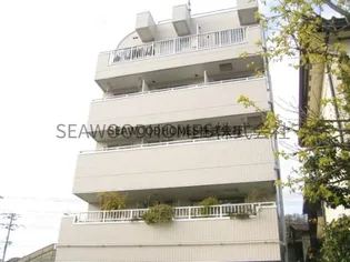 藤テラス【4階】の外観