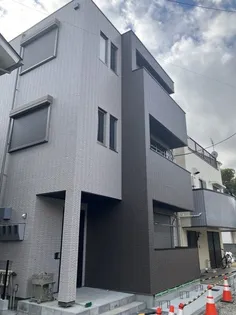 プルメリアの画像