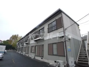 アムスシーダの画像