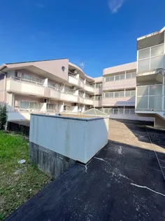 東京都三鷹市井の頭1【マンション】の外観