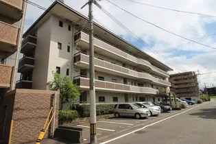 ブルームヒルズの画像