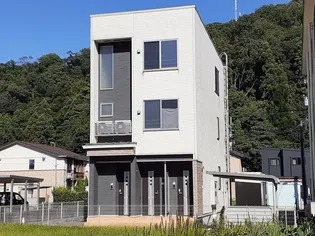 メロー ウィングの画像