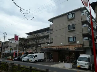 大阪府東大阪市菱屋西1【マンション】の外観