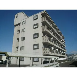 FINE OASIS AMYYの画像