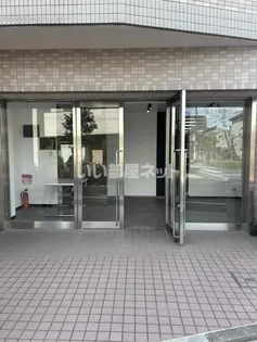 アレグリアの画像