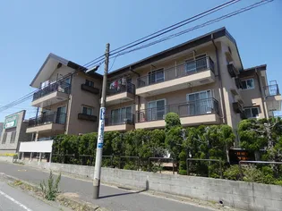 パールハイツアンビルの画像