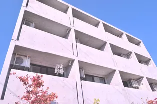 福島県郡山市田村町徳定字下河原【マンション】の外観
