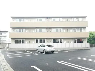 新春日ASSORTの画像