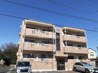 Y&MドリームIIの画像