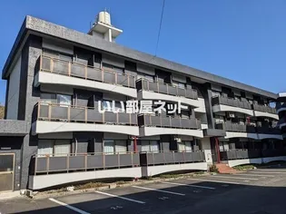 エクセルコートGの画像