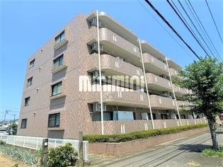 エル パラシオの画像