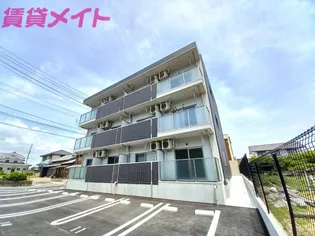 PLUMERIA SHIRASUKAの画像