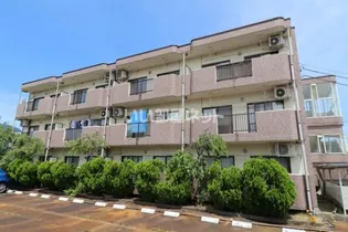 新潟県妙高市柳井田町3【アパート】の外観