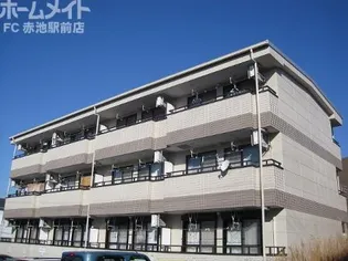 LIMPIA LIVEの画像