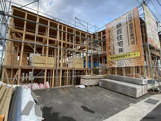 ドリー南栄の画像