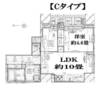 Garden Xavis木場【6階】の間取り