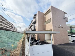 シャルマンAの画像