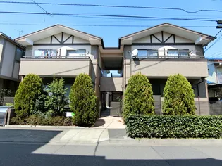 サンフラワーの画像