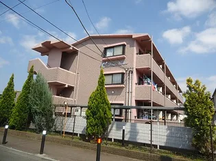 ローザヴィヴァーチェの画像