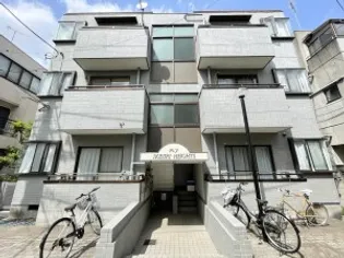 M Y池尻ハイツの画像