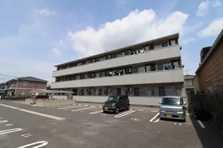 PULITOの画像