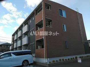 ヤマトサンシャインMの画像