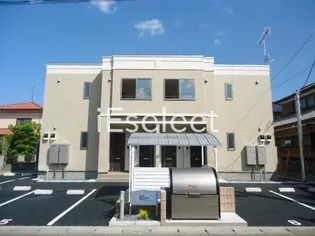 サンフラワーの画像