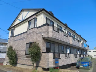 プリムローズの画像