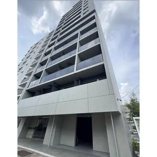 SYFORME OJIIIの画像