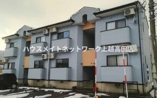 グリーンZの画像