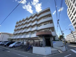 コートウィスタリアの画像