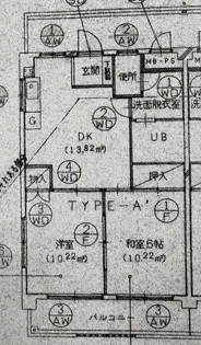ラ フィオーレ【3階】の間取り