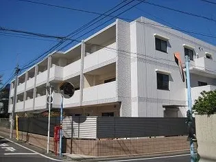 アクア Mの画像