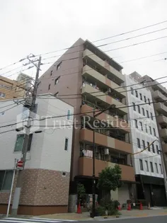 セント マジョーレの画像