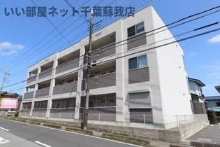 ワン ヒル ライブの画像