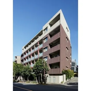 コンフォリア文京白山【1階】の外観