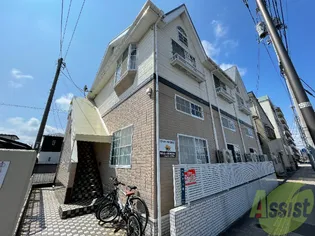 はるにれの画像